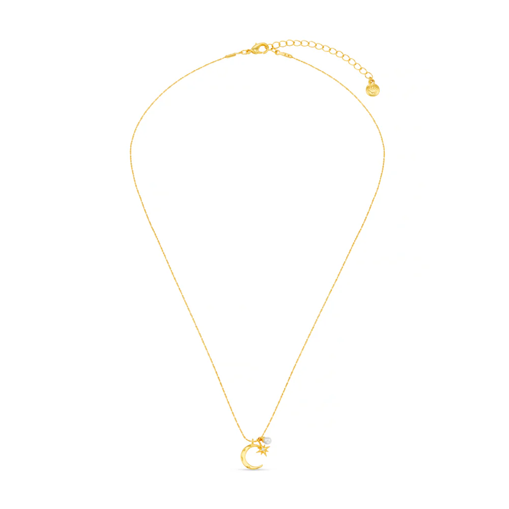 Fine Moon & Micro Charm Cluster Necklace - Image 3