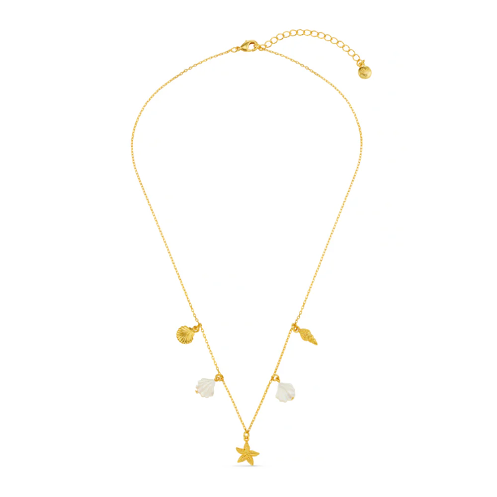 Mixed Shell & Starfish Charm Necklace - Image 4