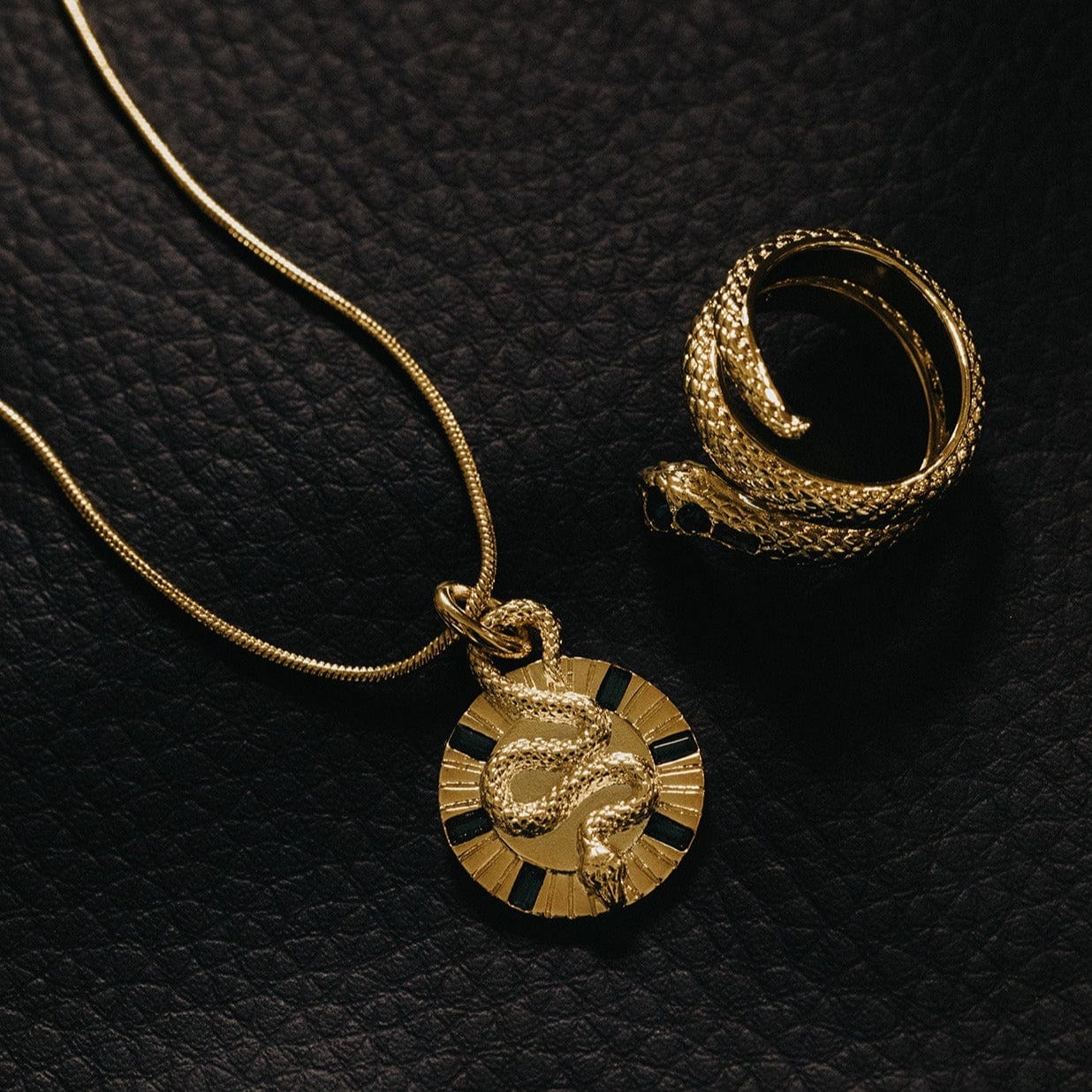 Serpent Medallion Necklace - Image 3